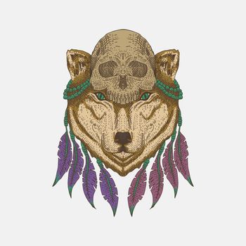 Wolf head skull vector illustration