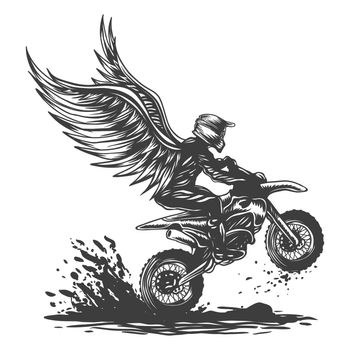 Motocross wing vector illustration