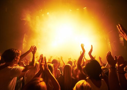 Rear-view of a crowd cheering at a concert- This concept was created for the sole purpose of this photo shoot, featuring 300 models and 3 live bands. All people in this shoot are model released