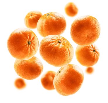Orange tangerines levitate on a white background