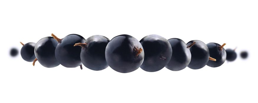 Blackcurrant berries levitate on a white background