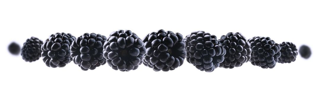 Ripe blackberries levitate on a white background