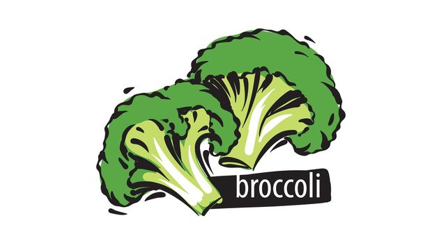 Drawn broccoli isolated on a white background