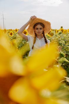 woman with pigtails in a white dress walking on a field of sunflowers landscape. High quality photo