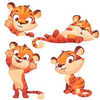 Cute tiger cartoon character, funny animal cub
