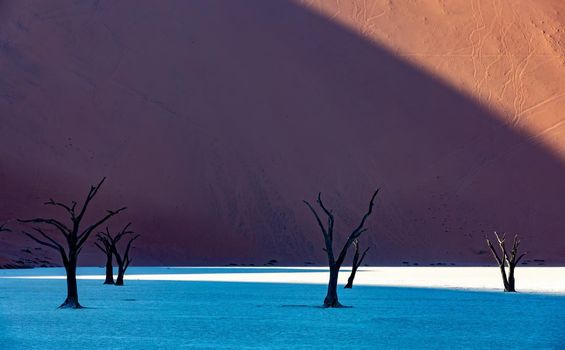 Dead Vlei landscape in Sossusvlei, Namibia