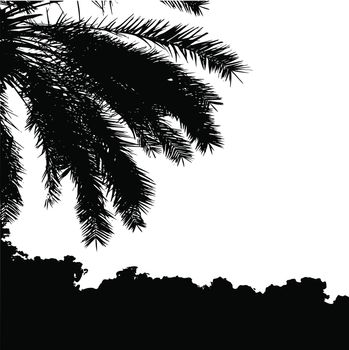 Palm trees vector silhouette. Coconut palm tree with coconuts vector. Beach vector trees. EPS 10