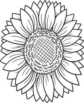 Sunflower Coloring Page for Adults