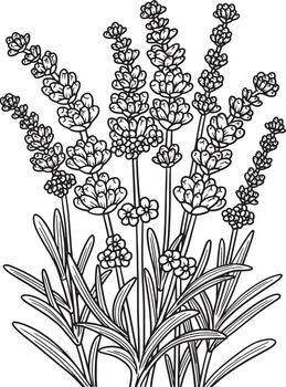 Lavender Flower Coloring Page for Adults