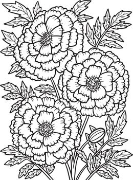 Marigold Flower Coloring Page for Adults