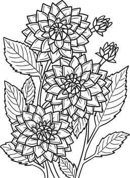 Dahlia Flower Coloring Page for Adults
