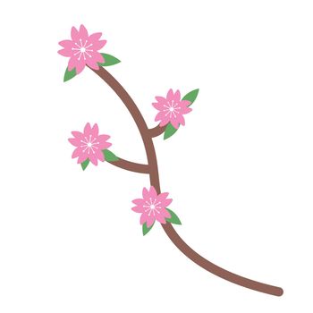 Cherry blossoms and branches. Vector.