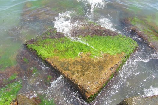 The wave is lapping over a square rock on the pier covered in green algae. The emerald-colored sea splashes against the concrete slab on the shore. Fresh sea surf on vacation