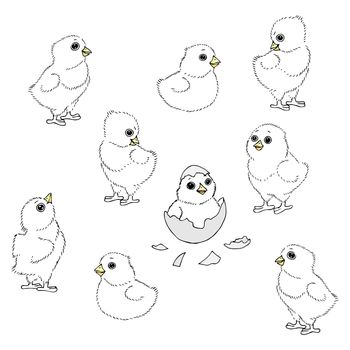 Chickens sketch vector illustration