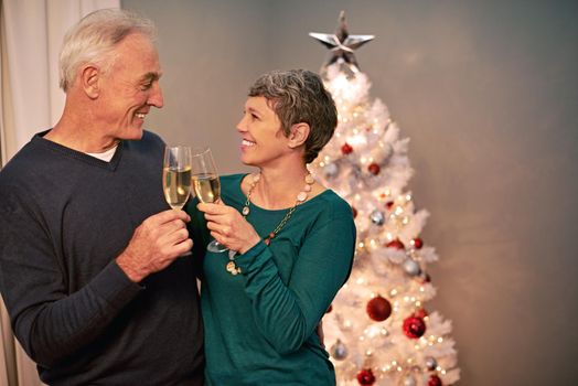 Heres to another Merry Christmas together. Cropped shot of a happy mature couple toasting each other on Christmas eve.