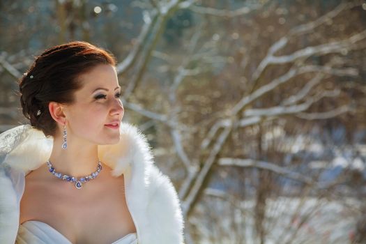 Bride in the winter against the backdrop of New York