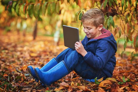 Modern day kid. Full length shot of an adorable little boy using a tablet while sitting outdoors during autumn.