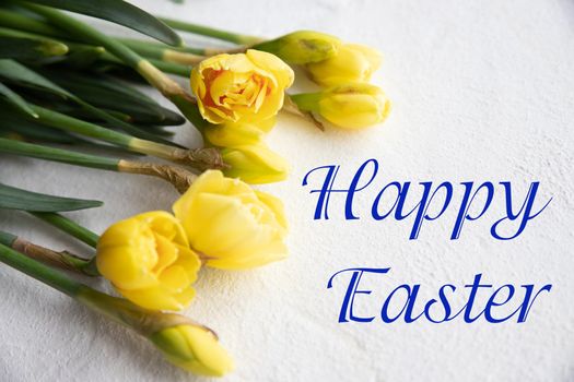 Easter greeting with a bouquet of daffodils and text Happy Easter.fresh yellow daffodil flowers in full bloom on pastel turquoise background.Beautiful fresh yellow daffodil flowers in full bloom on pastel turquoise background