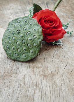 Red rose flower and Fresh green lotus seed pods on old wooden board background. Copy space, Selective focus.