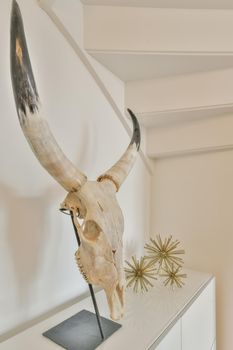 Decoration in the house in the form of an animal skull