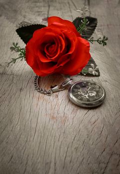 Red rose flower and A retro pocket watch on old wooden board background. Copy space, No focus, specifically.