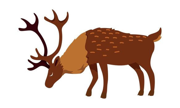 Full grown deer semi flat color vector character