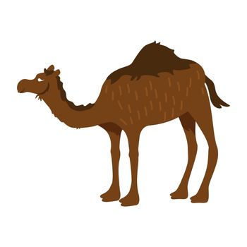 Camel semi flat color vector character