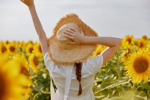 woman with pigtails walks through a field of sunflowers landscape. High quality photo