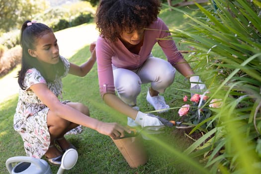 Happy african american mother with daughter outdoors, gardening on sunny day