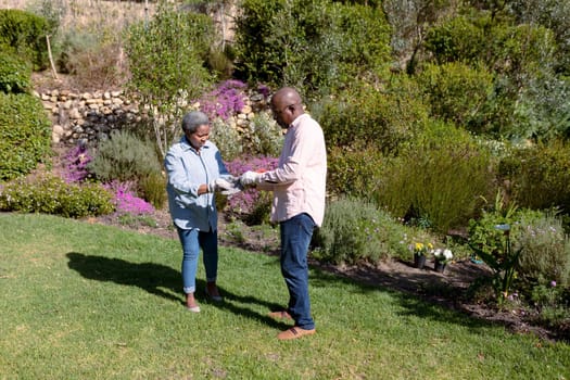 African american senior couple gardening, putting on gloves outdoors