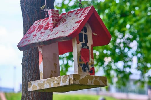 Bird feeder hangs on tree branch. general plan. color