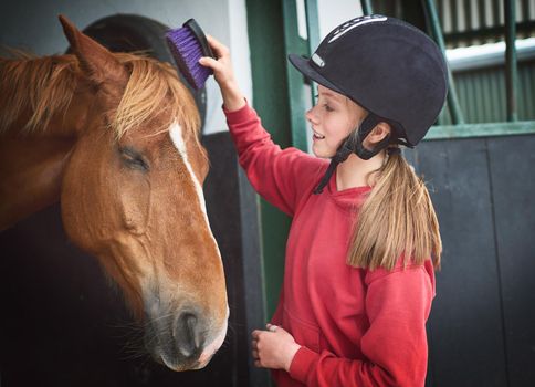 Everybody loves some pampering. Shot of a teenage girl brushing her horses coat.