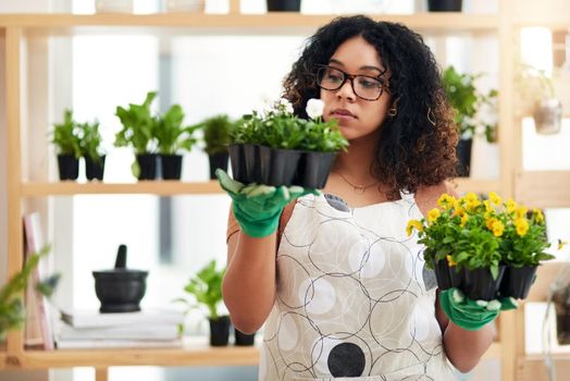 These are my two options. Cropped shot of an attractive young female botanist comparing two sets of plants while working in her florist.