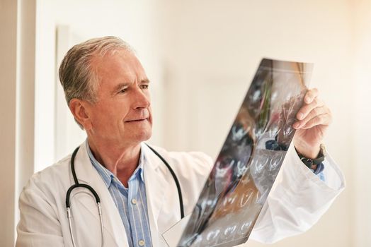 Nothing but good news on this scan. Cropped shot of a mature doctor holding up an x-ray to examine it.