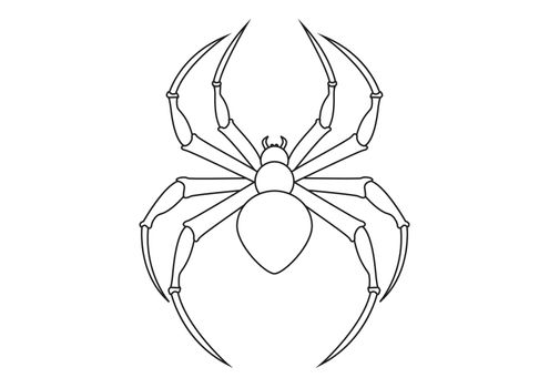 Black and white Spider Clipart. Arachnia. Illustration of black spider