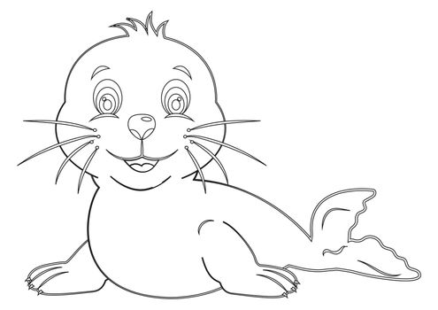 Black and white Cartoon Seal isolated on white background