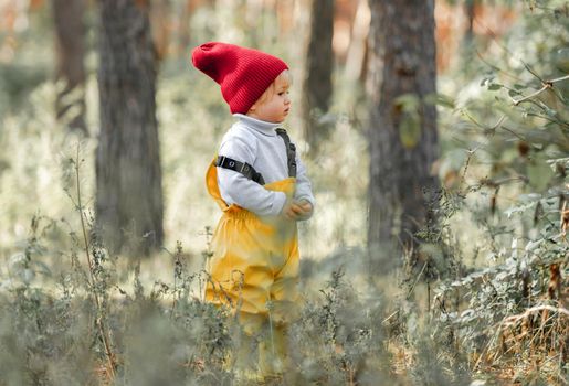 Little girl walking in the forest