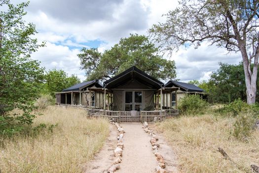 South Africa Kruger February 2022, a luxury safari lodge in South Africa.