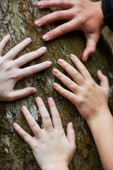 Shot of a group of unidentifiable friends putting their hands on a tree trunk.