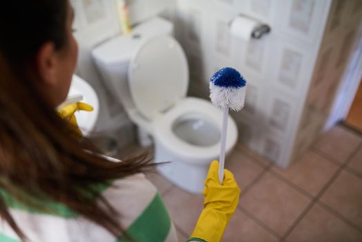 Ready to tackle the toilet. Shot of a young woman holding a toilet brush in a bathroom.
