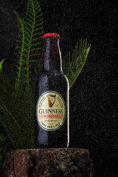 Tallinn, Estonia - March 2022: Bottle of Guinness beer in tropical background. Guinness beer has produced since 1759 in Ireland