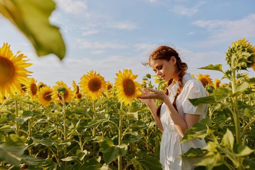 woman with two pigtails looking in the sunflower field unaltered