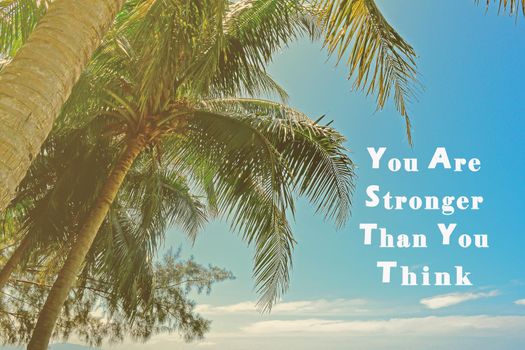 Motivational quote on image of palm trees against blue sky.