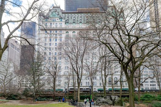 The Plaza Hotel, NYC during winter with trees in forefront