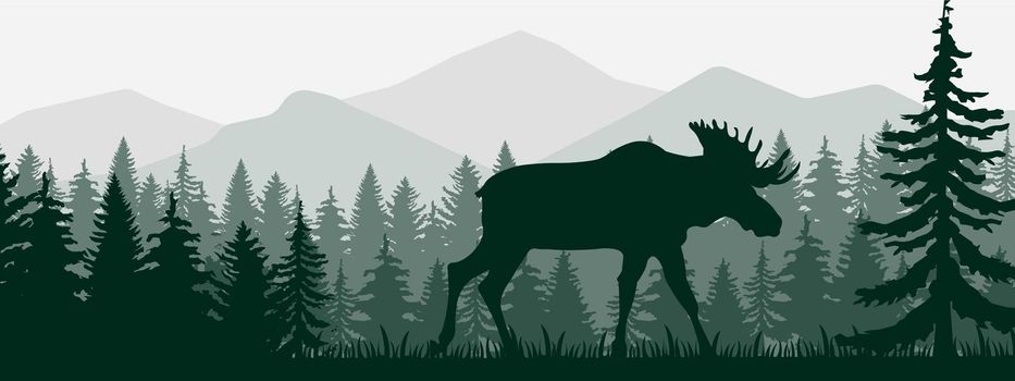 Vector illustration of a elk in the forest walking alone in the morning in green among the trees silhouettes Moos