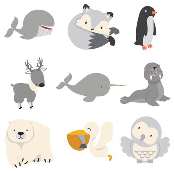Artic animals cartoon collection Flat set