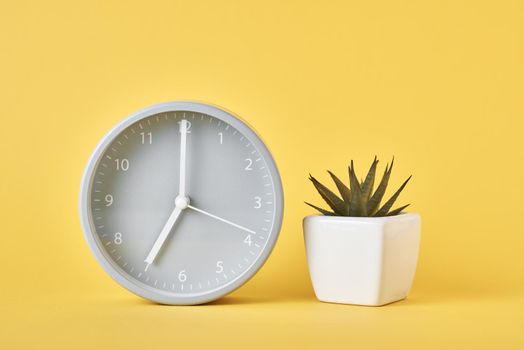 Alarm clock and plant in pot on the yellow background, closeup