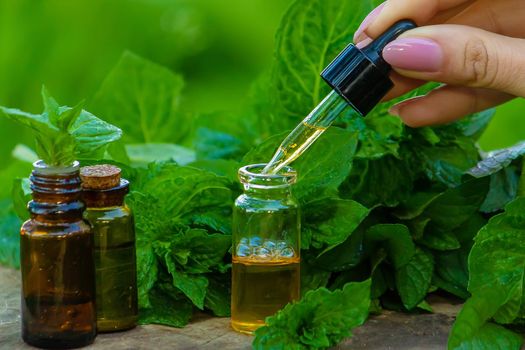 Amber bottle with essential oil Peppermint with fresh mint leaves, herbal scent in a dark glass jar. Aromatherapy concept.