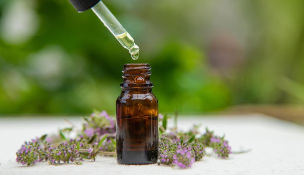 Thyme extract essential oil. Selective focus. nature.
