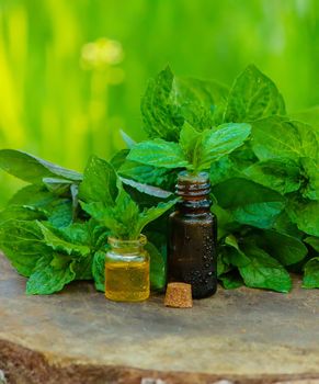 bottle of essential oil Peppermint with fresh mint leaves, herbal scent in a dark glass jar. On the stump. Aromatherapy concept.